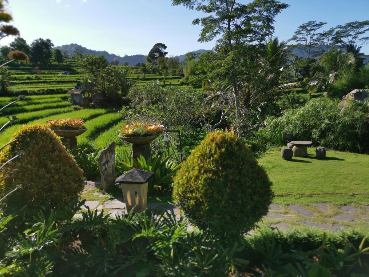 Sawah Indah Villa Sidemen  Exteriér fotografie